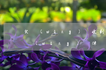 欠網(wǎng)貸收到了律師函怎么辦(欠網(wǎng)貸律師函來(lái)了后果嚴(yán)重嗎)