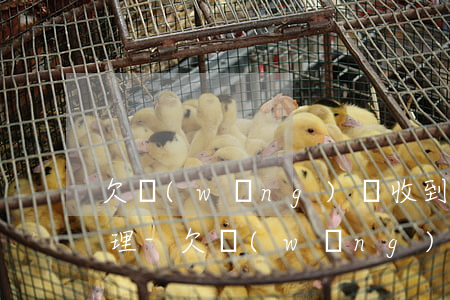 欠網(wǎng)貸收到信息到法院開庭處理-欠網(wǎng)貸收到信息到法院開庭處理要多久