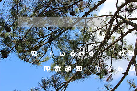 欠網(wǎng)貸收到北海國(guó)際仲裁通知書(shū)(收到北海國(guó)際仲裁院裁決書(shū),怎么處理)