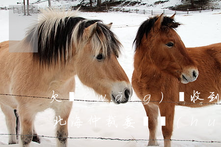 欠網(wǎng)貸收到北海國際仲裁中心(北海仲裁委員會(huì) 網(wǎng)貸)