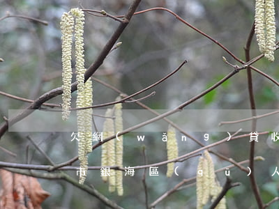 欠網(wǎng)貸收到北海國際仲裁(北海市銀海區(qū)人民法院網(wǎng)貸)