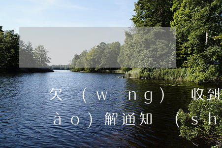 欠網(wǎng)貸收到南平仲裁調(diào)解通知書(shū)(欠網(wǎng)貸收到北海仲裁通知書(shū))
