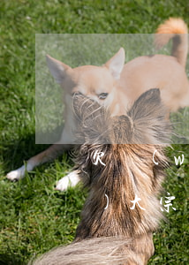欠網(wǎng)貸收到塘廈鎮(zhèn)大宗的快遞