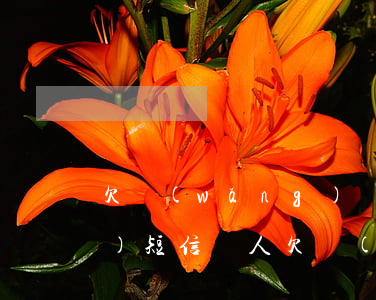 欠網(wǎng)貸收到多云網(wǎng)短信(別人欠網(wǎng)貸我收到短信)