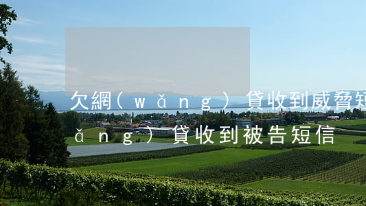 欠網(wǎng)貸收到威脅短信(欠網(wǎng)貸收到被告短信)