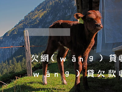 欠網(wǎng)貸收到律師涵怎么辦(網(wǎng)貸欠款收到律師函怎么辦)