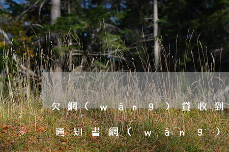 欠網(wǎng)貸收到調(diào)解通知書(網(wǎng)貸逾期收到短信通知開庭)