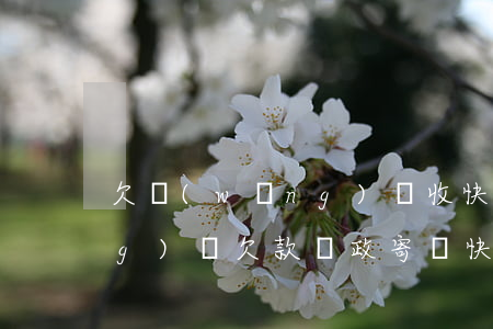 欠網(wǎng)貸收快遞包裹(網(wǎng)貸欠款,郵政寄來快遞)