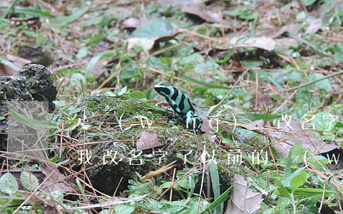 欠網(wǎng)貸改名字了還能找到我嗎(我改名字了以前的網(wǎng)貸怎么辦)