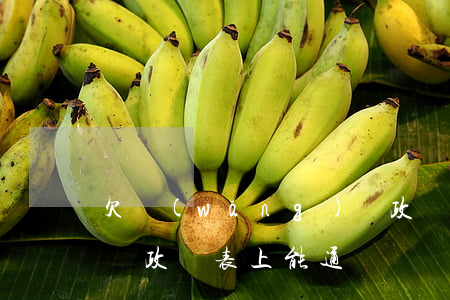 欠網(wǎng)貸政審(欠網(wǎng)貸政審表上能通過嗎)