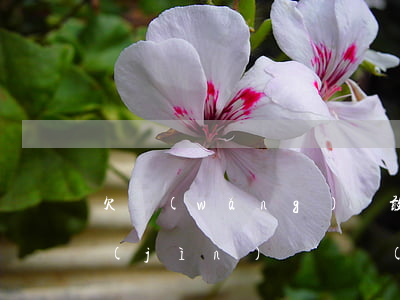 欠網(wǎng)貸敢進(jìn)廠嗎(進(jìn)廠還網(wǎng)貸)