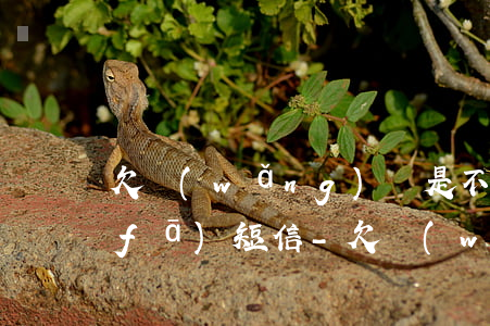 欠網(wǎng)貸是不是天天打電話發(fā)短信-欠網(wǎng)貸是不是天天打電話發(fā)短信給家人