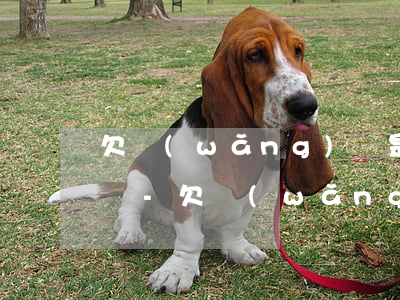 欠網(wǎng)貸是先和父母說還是老公說-欠網(wǎng)貸是先和父母說還是老公說話