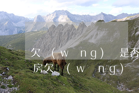 欠網(wǎng)貸是否可以買(mǎi)房(欠網(wǎng)貸能貸款買(mǎi)房嗎)