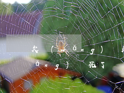欠網(wǎng)貸是跑路還死亡(欠網(wǎng)貸死了)