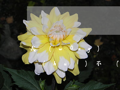 欠網(wǎng)貸暫時(shí)還不上會(huì)不會(huì)被起訴