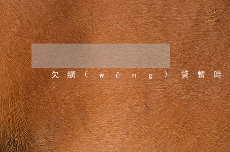 欠網(wǎng)貸暫時無力償還怎么處理