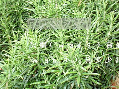 欠網(wǎng)貸最后怎么處罰(拖欠網(wǎng)貸多少錢會(huì)被追究刑事責(zé)任)
