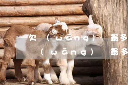 欠網(wǎng)貸最多的幾個(gè)月(網(wǎng)貸最多能欠多久)