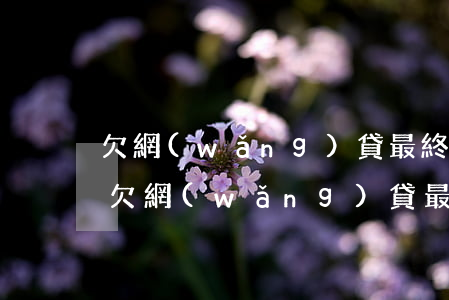 欠網(wǎng)貸最終會(huì)怎樣(欠網(wǎng)貸最終會(huì)怎樣)