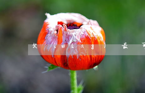 欠網(wǎng)貸最長可以拖多久