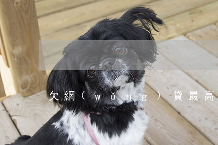 欠網(wǎng)貸最高多久