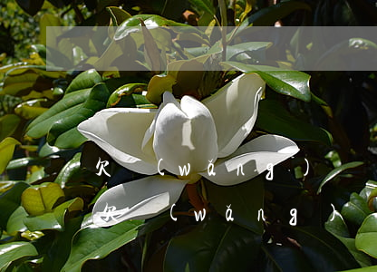 欠網(wǎng)貸會(huì)上失信者(欠網(wǎng)貸會(huì)上失信者)