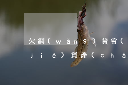 欠網(wǎng)貸會(huì)不凍結(jié)資產(chǎn)嘛(欠網(wǎng)貸什么情況下會(huì)凍結(jié)賬戶)