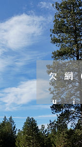 欠網(wǎng)貸會(huì)不會(huì)凍結(jié)信用卡行卡(欠網(wǎng)貸信用卡會(huì)不會(huì)被凍結(jié))