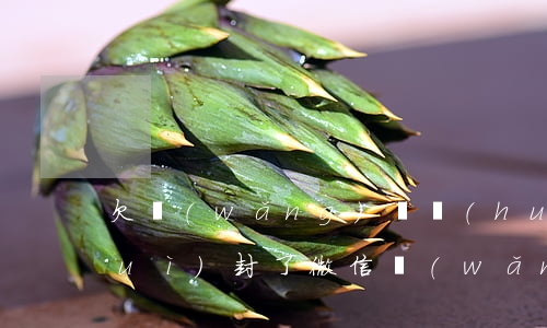 欠網(wǎng)貸會(huì)不會(huì)封了微信(網(wǎng)貸不還會(huì)封微信嗎)
