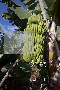 欠網(wǎng)貸會(huì)不會(huì)封微信