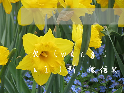 欠網(wǎng)貸會(huì)不會(huì)影響微信(欠網(wǎng)貸會(huì)不會(huì)影響微信)
