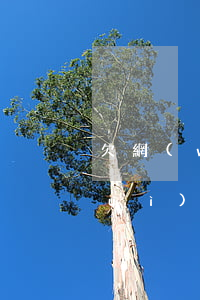 欠網(wǎng)貸會(huì)不會(huì)影響房貸(欠了網(wǎng)貸影響房貸下款嗎)