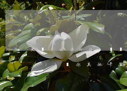 欠網(wǎng)貸會(huì)不會(huì)從你其他卡里扣錢-欠網(wǎng)貸會(huì)不會(huì)從你其他卡里扣錢呢