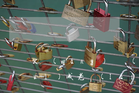 欠網(wǎng)貸會(huì)不會(huì)成老賴(lài)(網(wǎng)貸不還會(huì)不會(huì)成老賴(lài))