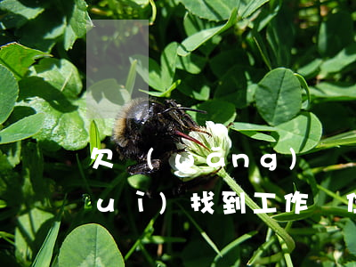 欠網(wǎng)貸會(huì)不會(huì)找到工作單位來(欠網(wǎng)貸會(huì)上門找到單位嗎)