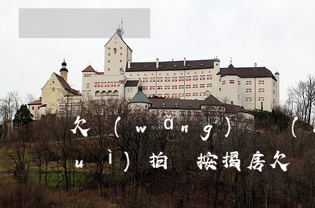 欠網(wǎng)貸會(huì)不會(huì)拍賣按揭房(欠網(wǎng)貸會(huì)不會(huì)拍賣我的房產(chǎn))