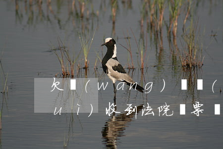 欠網(wǎng)貸會(huì)不會(huì)收到法院傳票(網(wǎng)貸收到法院傳票是真的嗎)