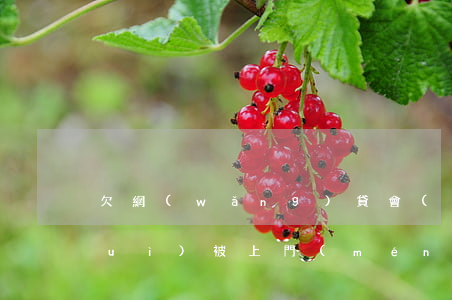 欠網(wǎng)貸會(huì)不會(huì)被上門(mén)催債(欠網(wǎng)貸會(huì)不會(huì)被上門(mén)催債)