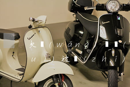 欠網(wǎng)貸會(huì)不會(huì)被執(zhí)行失信(欠網(wǎng)貸會(huì)被執(zhí)行嗎)
