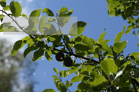 欠網(wǎng)貸會(huì)不會(huì)被家里打死(欠網(wǎng)貸會(huì)不會(huì)被家里打死)