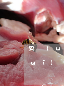 欠網(wǎng)貸會(huì)不會(huì)買不了房(有網(wǎng)貸欠款能貸款買房嗎)