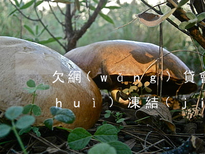欠網(wǎng)貸會(huì)不還會(huì)凍結(jié)支付寶嗎(欠網(wǎng)貸支付寶被司法凍結(jié)了怎么辦)