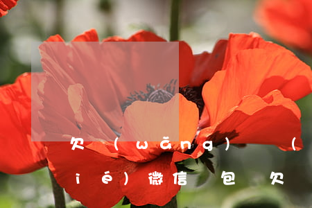 欠網(wǎng)貸會(huì)凍結(jié)微信錢包嗎(欠網(wǎng)貸會(huì)凍結(jié)微信錢包嗎)