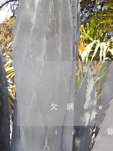 欠網(wǎng)貸會(huì)凍結(jié)銀行卡支付寶嗎(欠網(wǎng)貸不還會(huì)凍結(jié)銀行卡和支付寶嗎?)