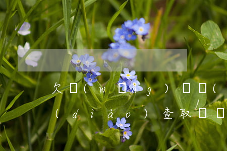 欠網(wǎng)貸會(huì)到家里調(diào)查取證嗎(欠網(wǎng)貸會(huì)來(lái)家里找嗎)