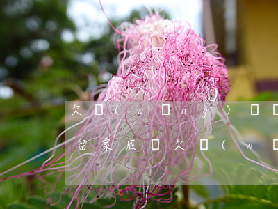 欠網(wǎng)貸會(huì)在公安局留案底嗎(欠網(wǎng)貸公安局會(huì)立案嗎)