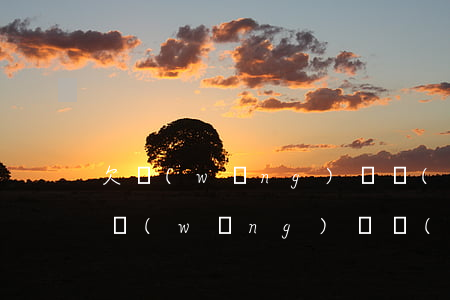 欠網(wǎng)貸會(huì)坐牢嗎?(欠網(wǎng)貸會(huì)坐牢么)
