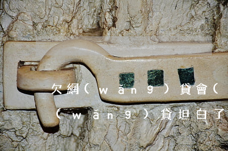 欠網(wǎng)貸會(huì)坦白嗎(網(wǎng)貸坦白了真不知道是對(duì)是錯(cuò))