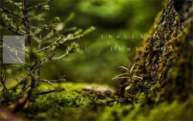 欠網(wǎng)貸會(huì)失信人員(欠網(wǎng)貸會(huì)失信人員)